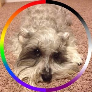 Meet your Posher, Kelli